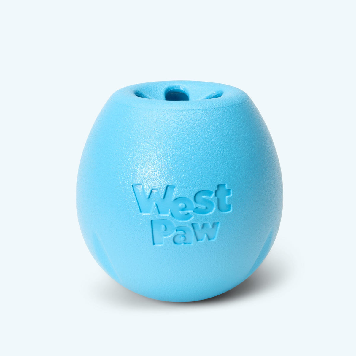 Aqua West Paw Rumbl puzzle toy