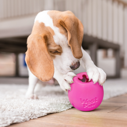 Puppy pawing at a hot pink Rumbl puzzle toy