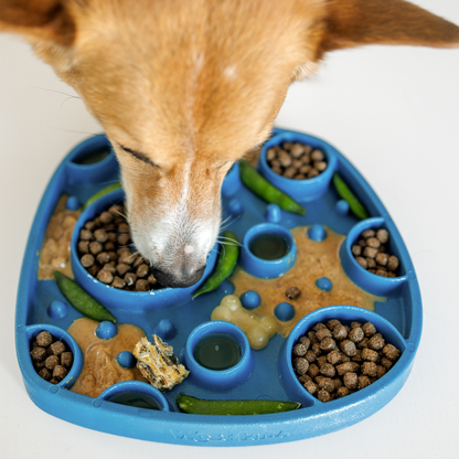 Dog eating kibble and treats from the blue West Paw Bubbles Feast Mat slow-feeder side.